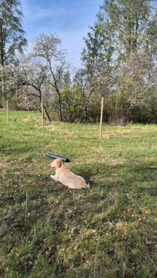 Instagram post from alpacabeach.se. This post is in position 9.