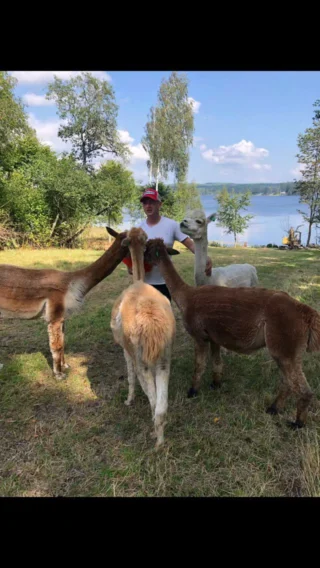 Instagram post from alpacabeach.se. This post is in position 1.
