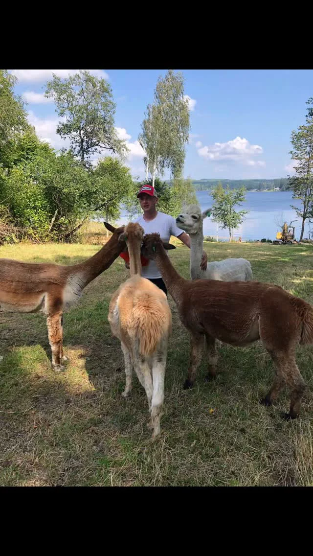 Instagram post from alpacabeach.se. This post is in position 0.